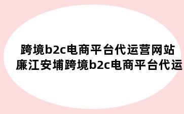 跨境b2c电商平台代运营网站 廉江安埔跨境b2c电商平台代运营网站